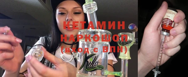 шишки Богородицк