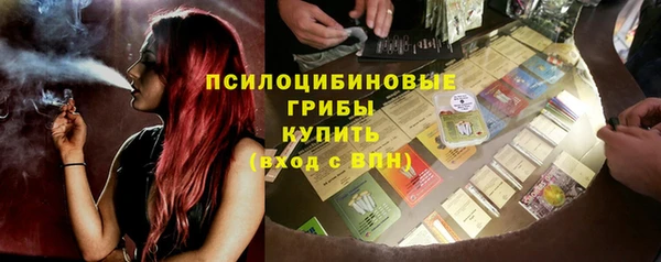 прущие грибы Горно-Алтайск