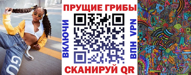 Псилоцибиновые грибы Cubensis  мега ссылки  Енисейск  что такое  